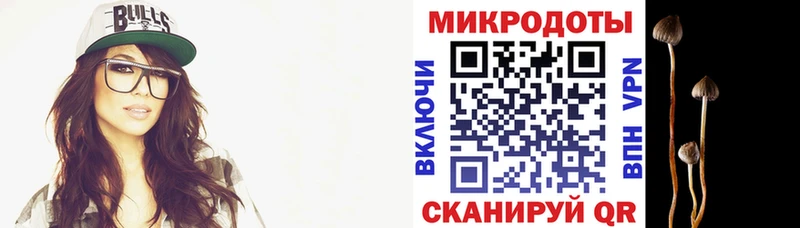 Галлюциногенные грибы Magic Shrooms  omg зеркало  Перевоз 