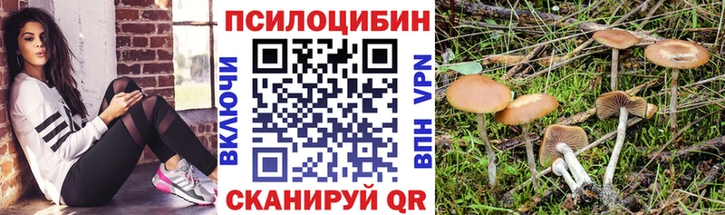 Псилоцибиновые грибы GOLDEN TEACHER Перевоз